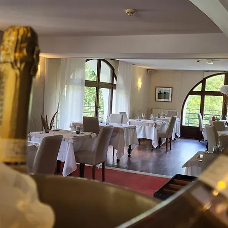 Logis Hotel Restaurant La Riviere 3*