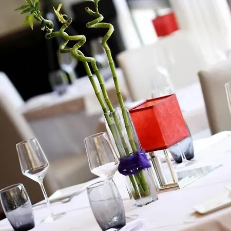 Logis Hotel Restaurant La Riviere 3*
